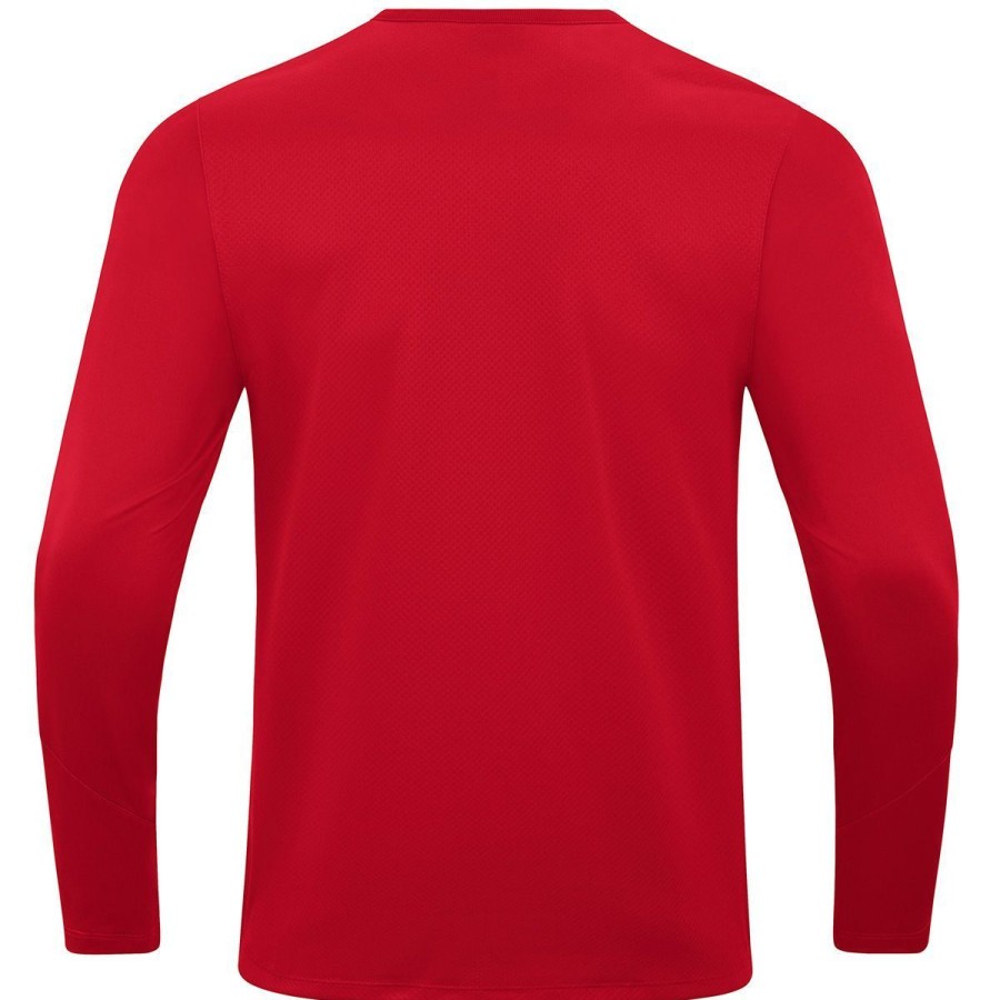 Profis Mainz300 Teamware | Langarmshirt